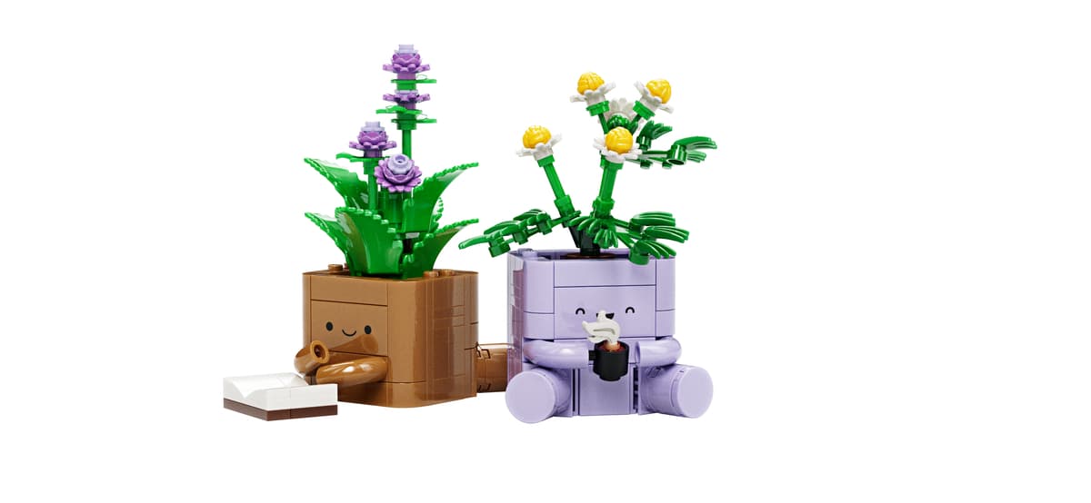Cozy Plants