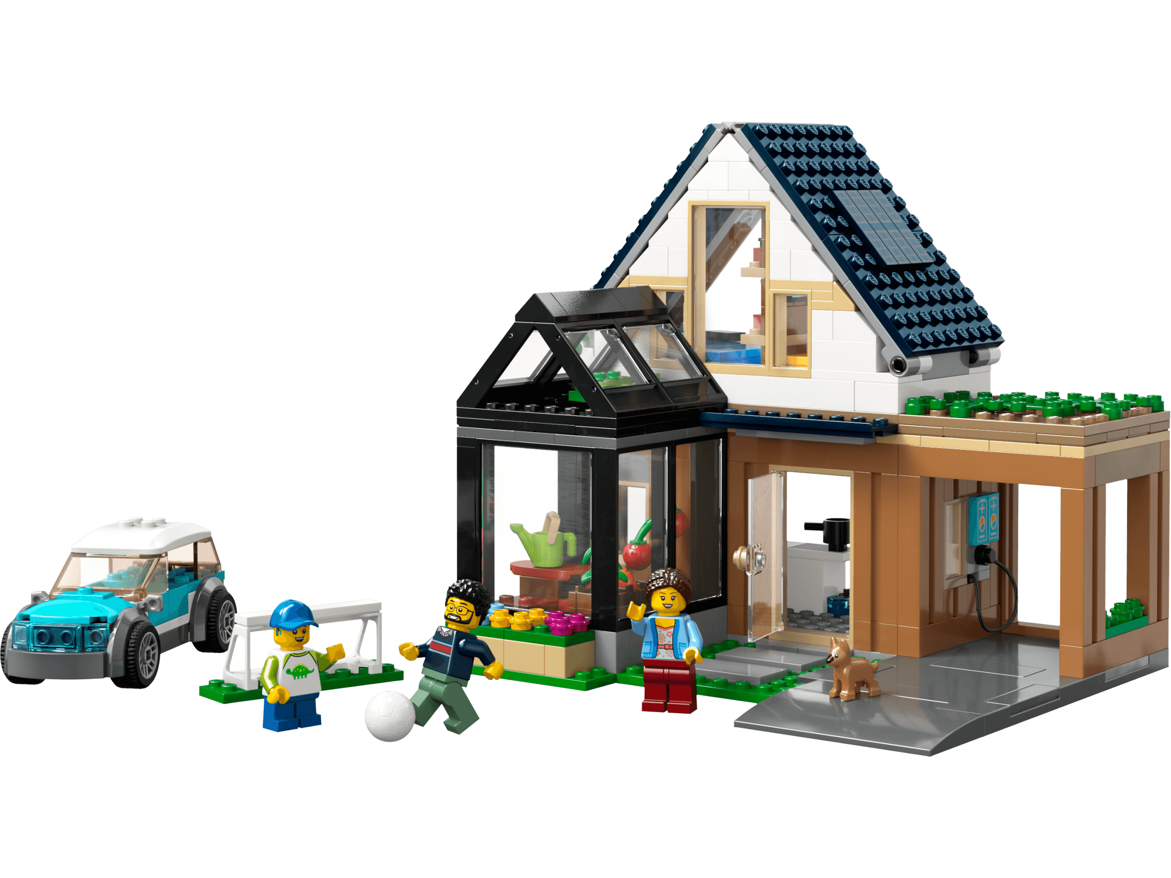 Family House and Electric Car