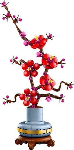 פריחת השזיף