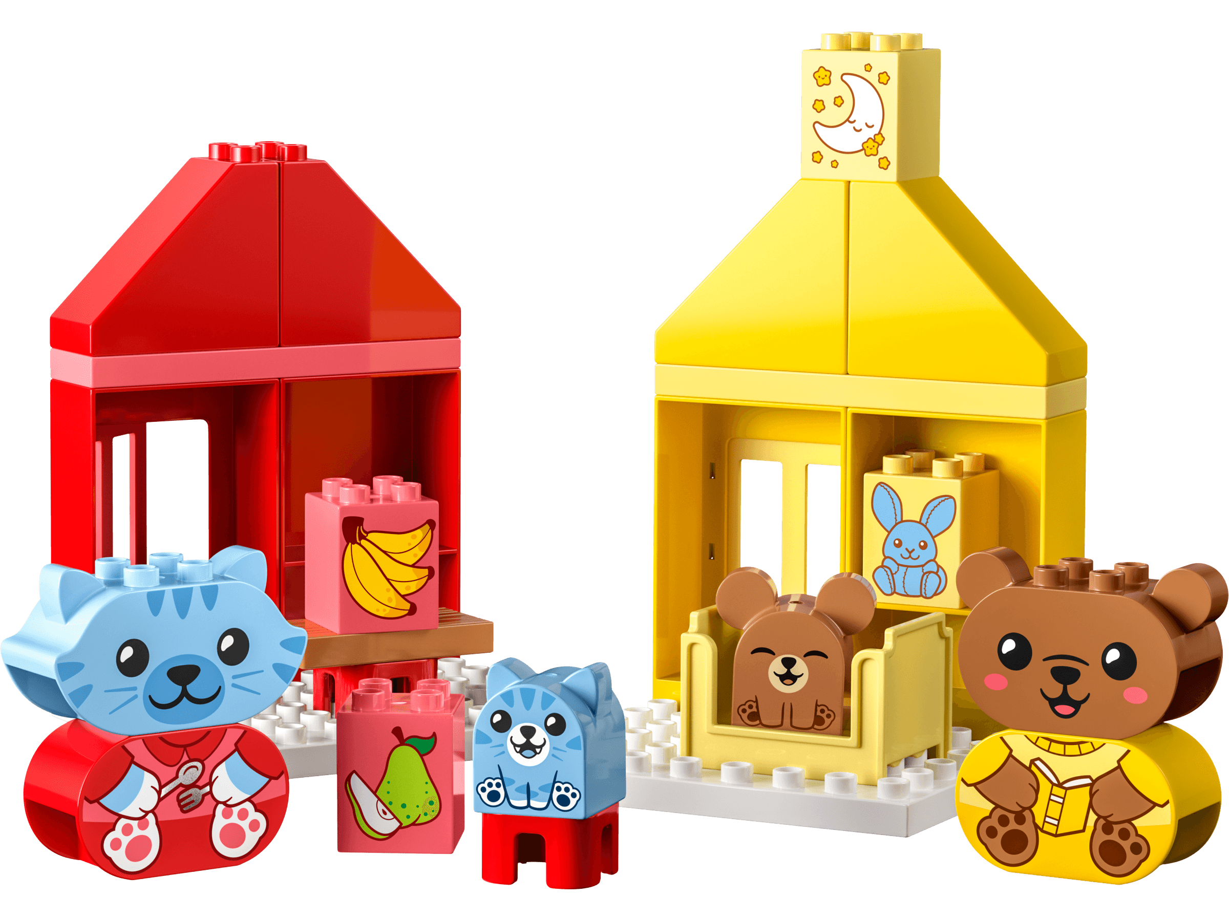 שגרת היום שלי