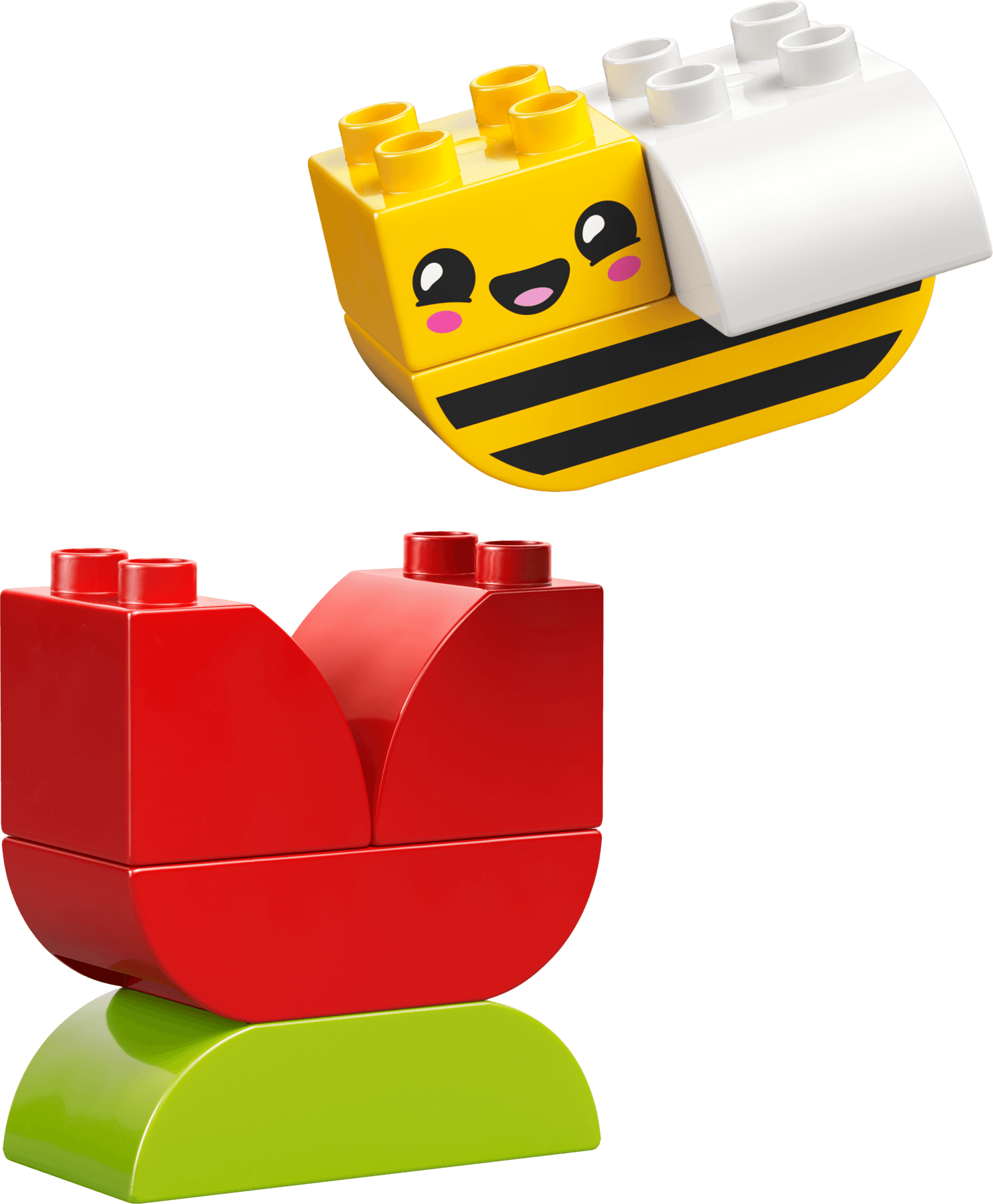 הפרח והדבורה הראשונים שלי