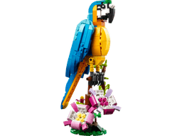 תוכי אקזוטי