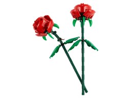 זר ורדים בוטניים