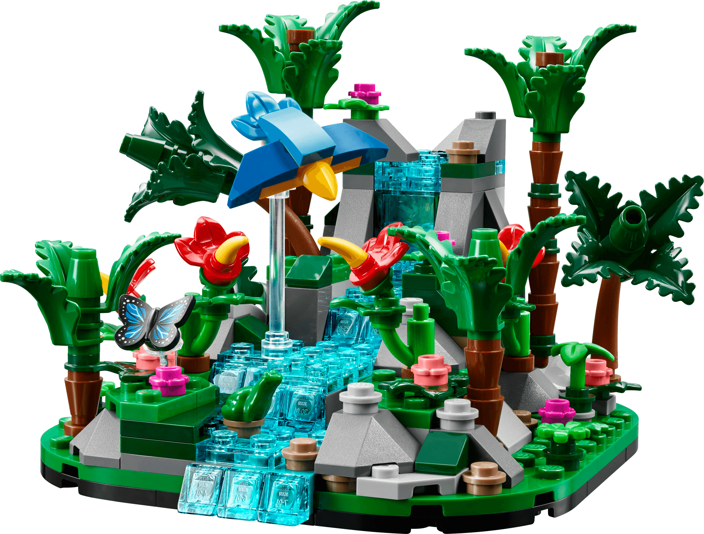 Tropical Rainforest Diorama