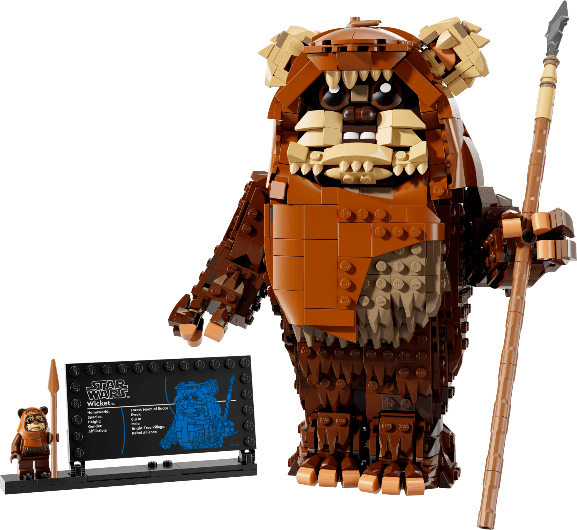 וויקט לוחם האיווק