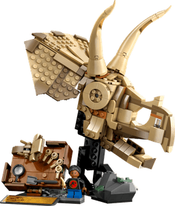 מאובני דינוזאורים: גולגולת של טריצרטופס